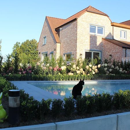 Cafcauter Bed & Breakfast Sint-Pieters-Kapelle  Luaran gambar